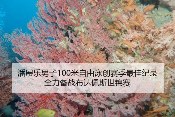 潘展乐男子100米自由泳创赛季最佳纪录 全力备战布达佩斯世锦赛