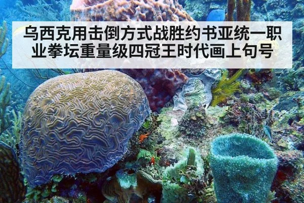乌西克用击倒方式战胜约书亚统一职业拳坛重量级四冠王时代画上句号